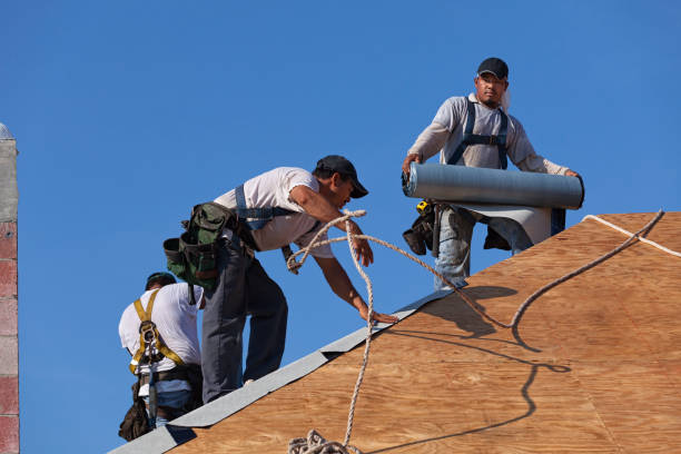 Professional Roofing Contractor in Shoshone, ID