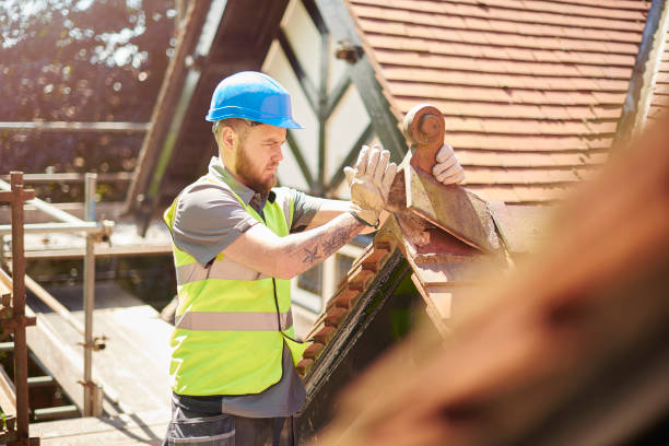 Roof Gutter Cleaning in Shoshone, ID