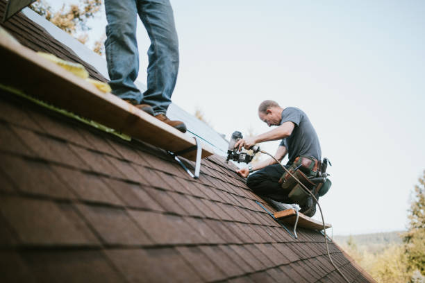 Best Roof Gutter Cleaning  in Shoshone, ID