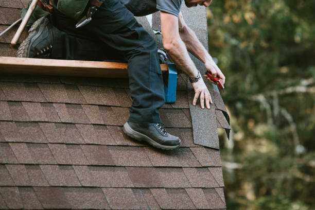 Best Sealant for Roof  in Shoshone, ID